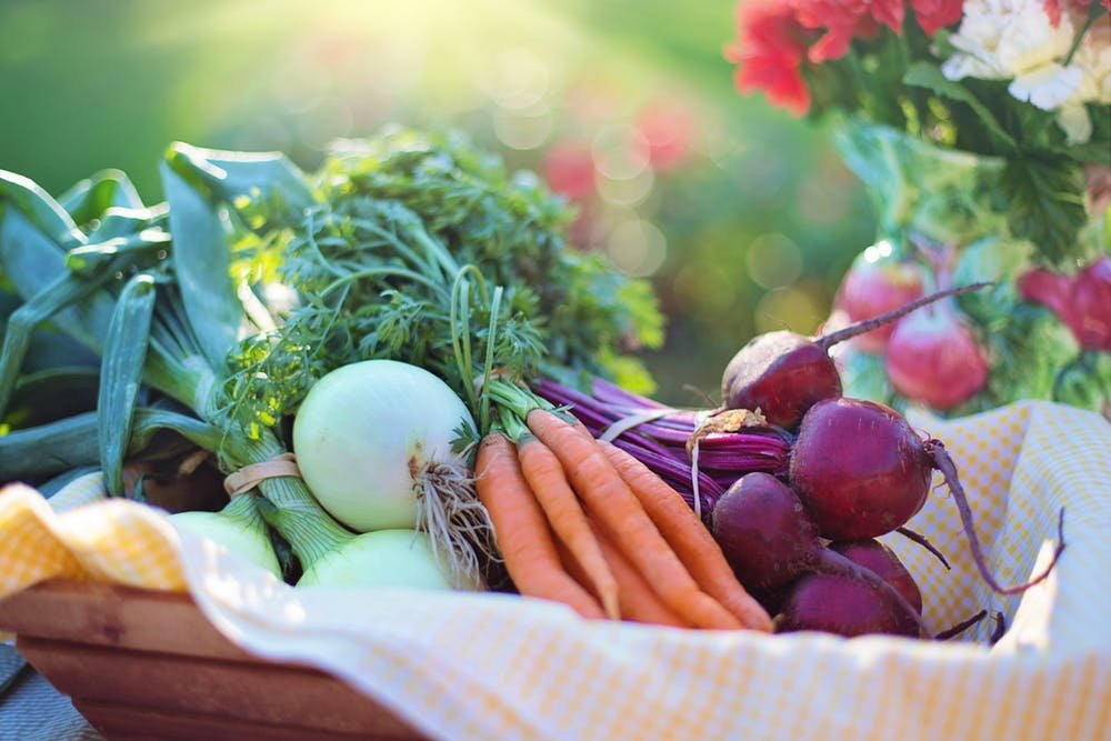 Vegetables,farm,garden,fresh