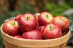 Red Delicious Apple Gift Box (36-44 Apples)
#NationalEatARedAppleDay
